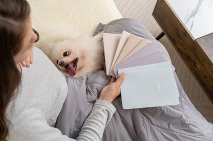 Person holding 8 winter themed notebooks next to a small white dog on a bed