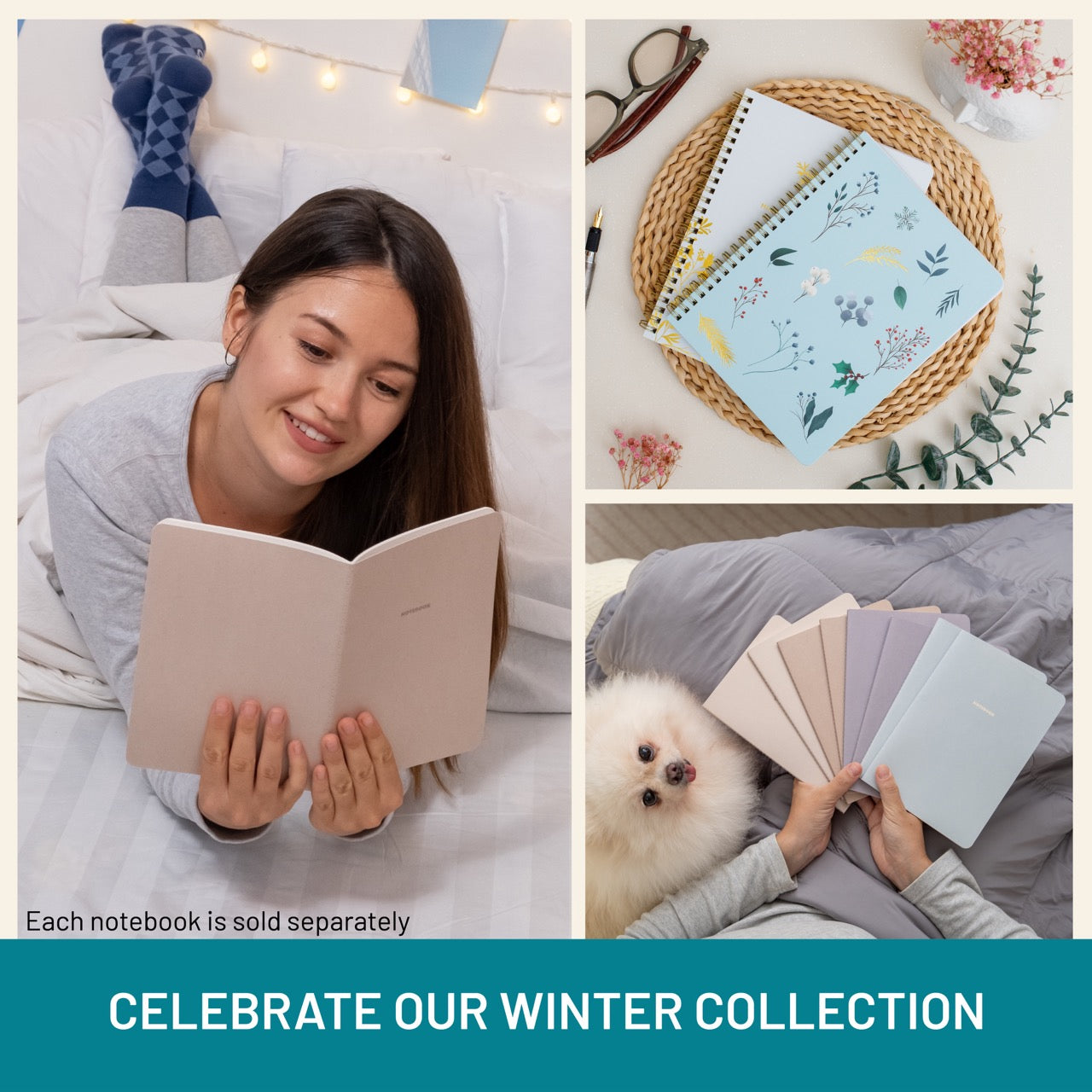 Woman reading a book, notebooks on a table, and a dog with notebooks. Text celebrating winter collection.